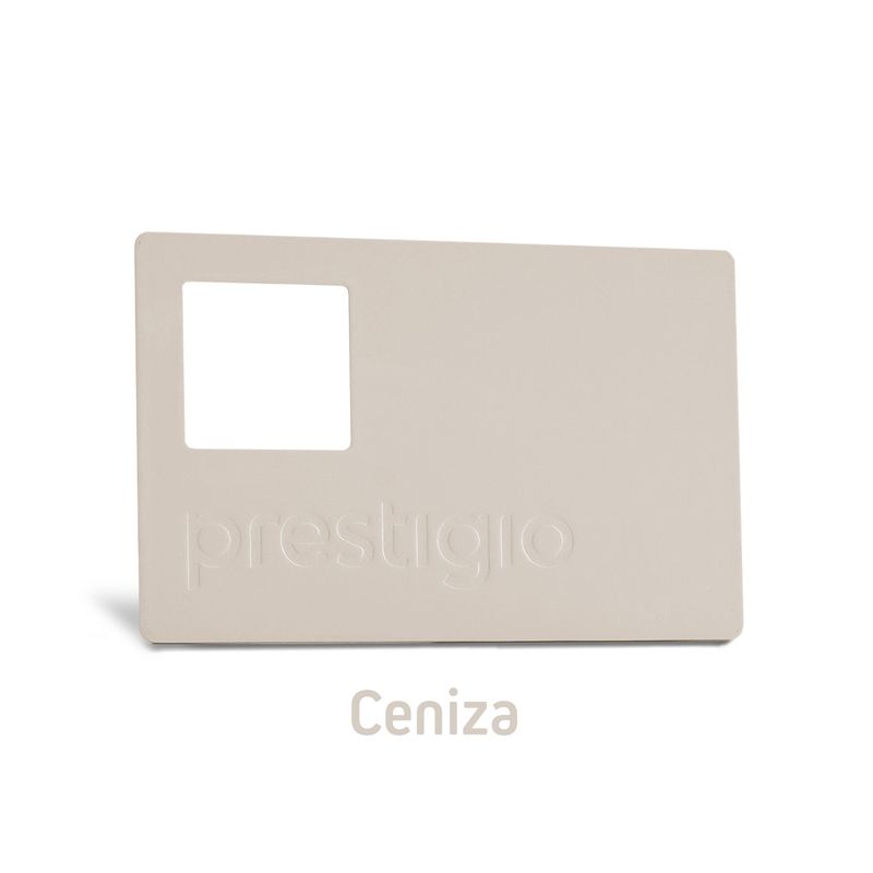 color-ceniza-paleta-tendencia