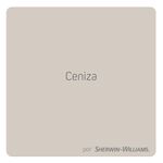 color-ceniza-paleta-tendencia