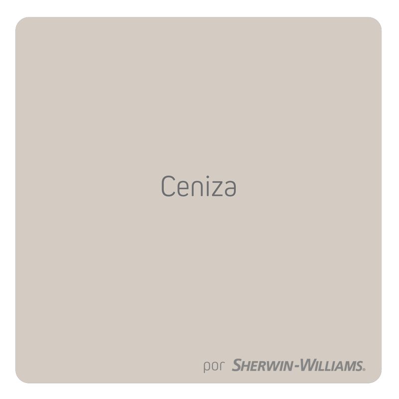 color-ceniza-paleta-tendencia